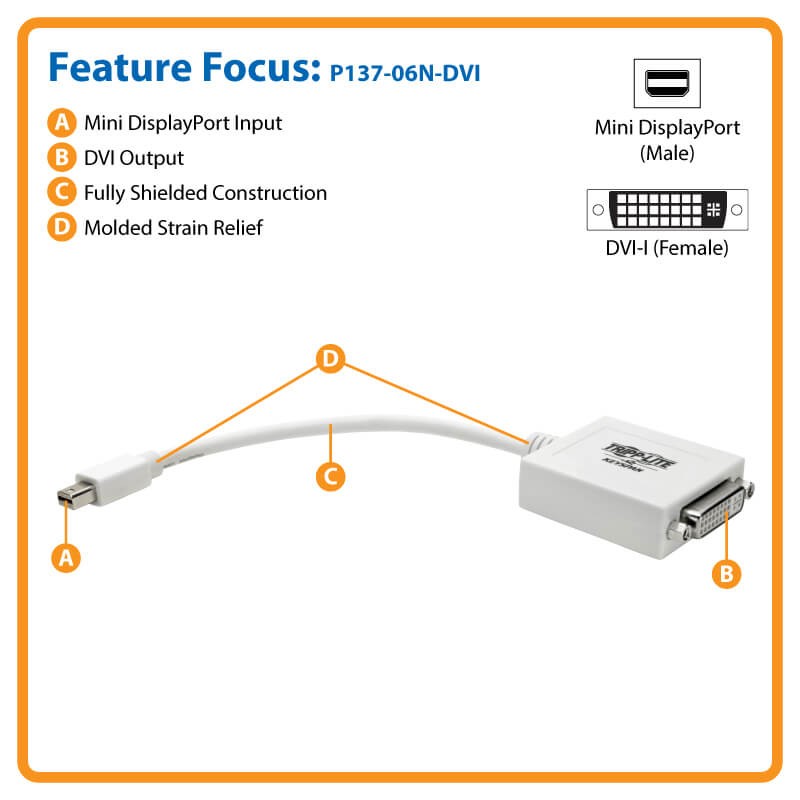 P137-06N-DVI